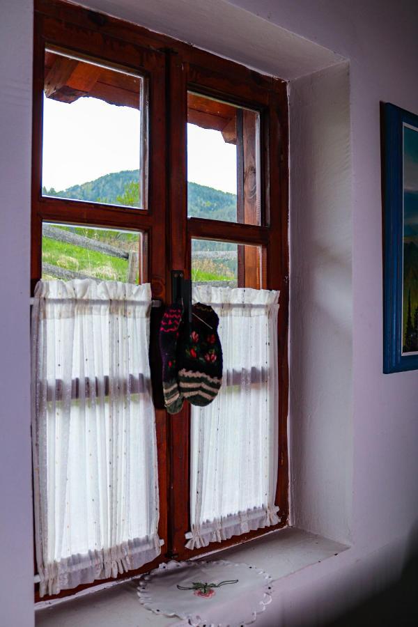 Apartment "Planinsko Selo" Zaovine エクステリア 写真